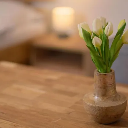 Vrchlabi Appartement *